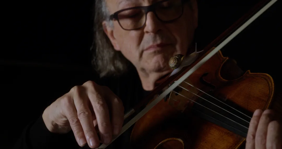 Anri Sala 安里·萨拉 个展《如果且仅如果》